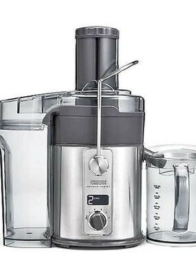 Stainless Steel Juice Extractor in Silver and Gray